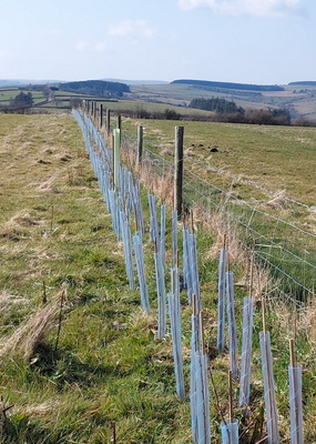 Farmer sought to sit on Grant Assessment Panel