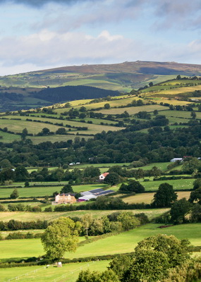 Shropshire Hills Summer Forum & Field Visits