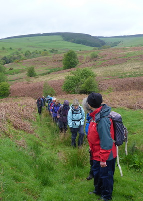 Final Call to Shape the Future of Shropshire’s Great Outdoors