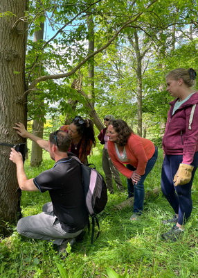 Grants available to help communities to care for the natural environment