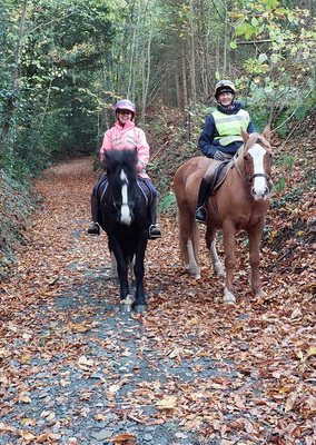 Latest newsletter, November 2025