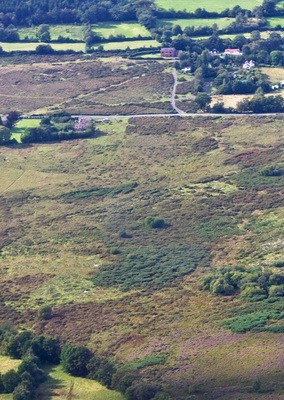 C IS FOR CLEE community consultation