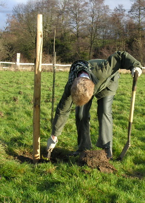 Free Community Tree Scheme