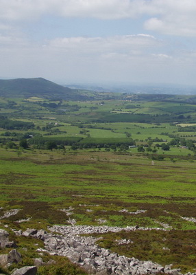 Family wildlife walk on the Stiperstones