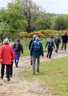Dawn chorus walk