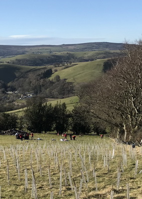 Farming for Good