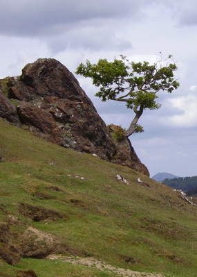 Shropshire Hills Summer Forum & Field Visits