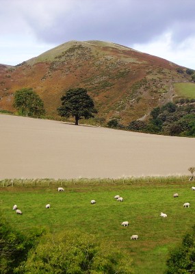 How can the Shropshire Hills be a home to thriving people in a thriving place