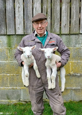 Meet the Farmer walk, Chapel Lawn