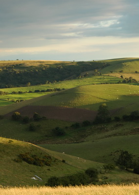 Following in the Footsteps of the Welsh drovers