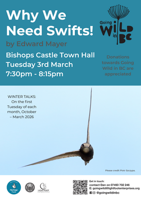 Why we need swifts