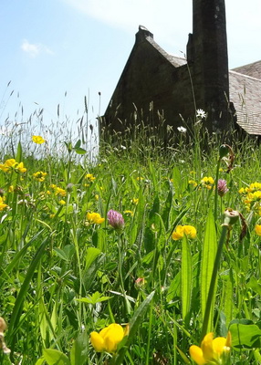 Caring for Gods Acre in the Shropshire Hills