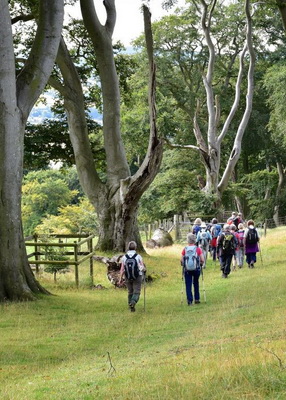 Bishop's Castle Walking Festival