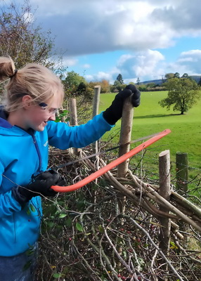 Sowing Seeds, engaging young people