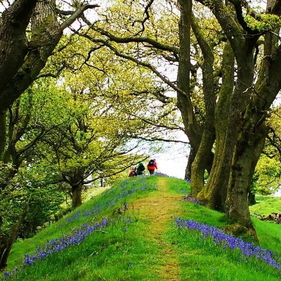 photograph of people walking Offa's Dyke