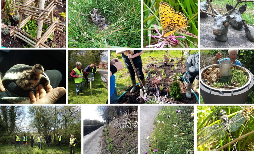 montage of photographs of Conservation Fund projects