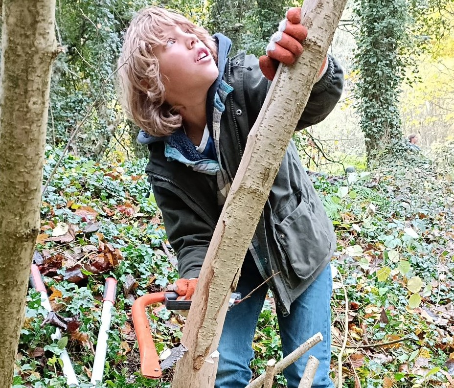 Young Ranger woodland coppicing