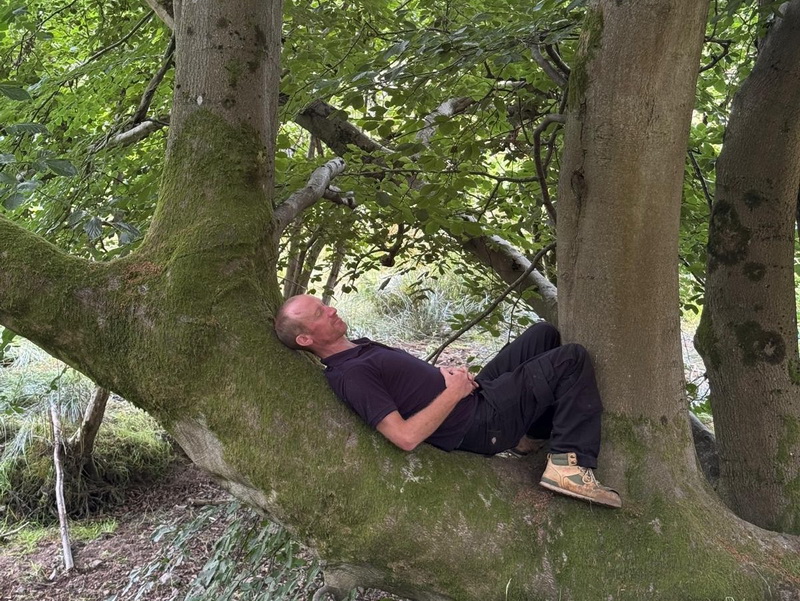 wood bathing