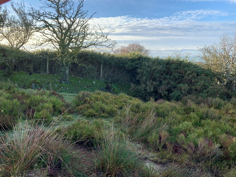 photograph of the site for borehole on the Stiperstones NNR