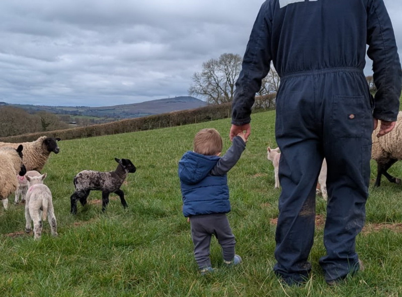 photo of farmer with young son and lambs in field