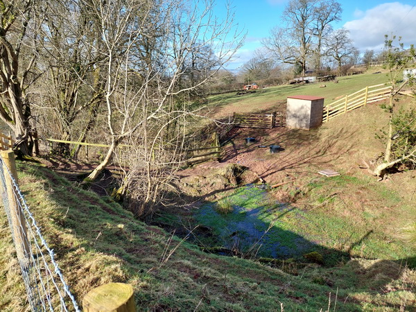 new fencing at the farm