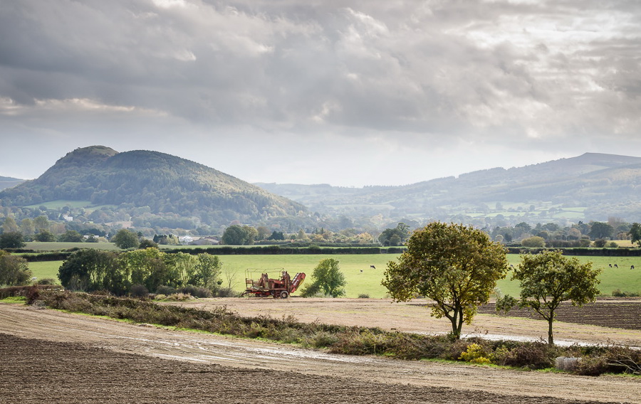 Pontesbury Hill by Phil King