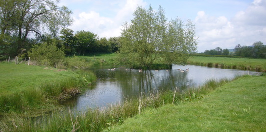 photograph of the River Clun