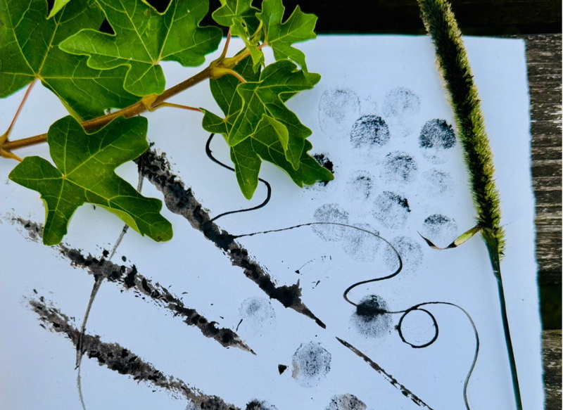 artwork from the workshop