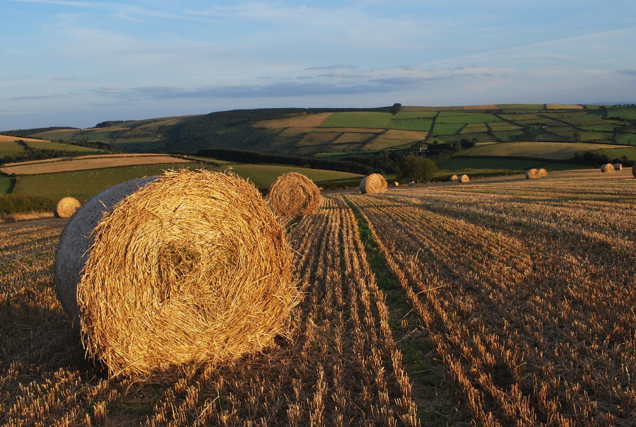 baling above the Redlake Valley by Sarah Jameson