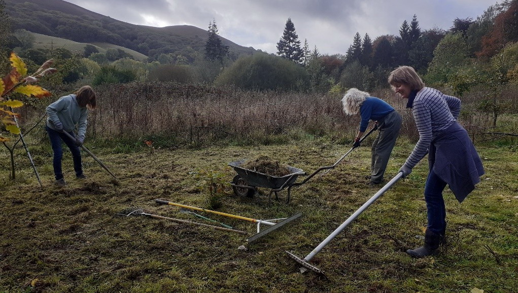 photograph of volunteers clearing the meadow site