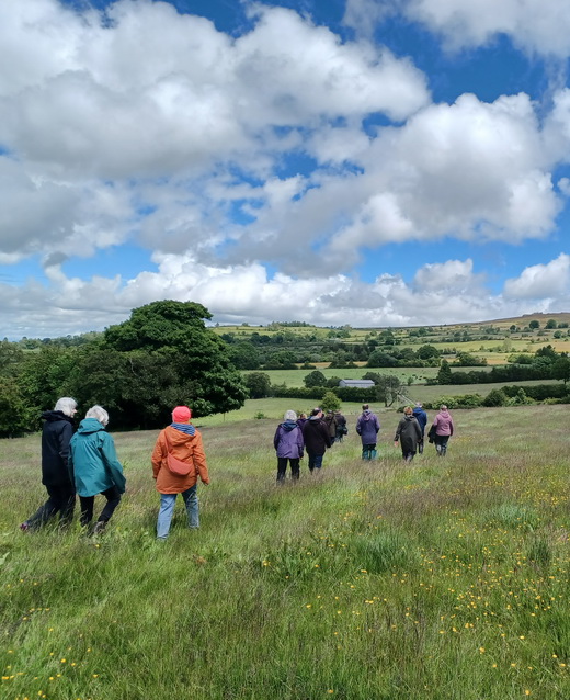 photograph of people walking through a field with Stiperstone ridge in background
