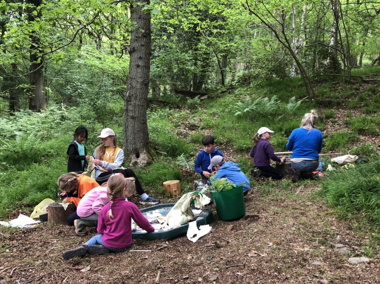 woodland activities for children