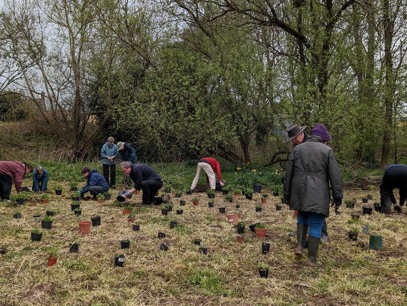 photograph of volunteers plating the meadow at Clun Memorial Hall playground