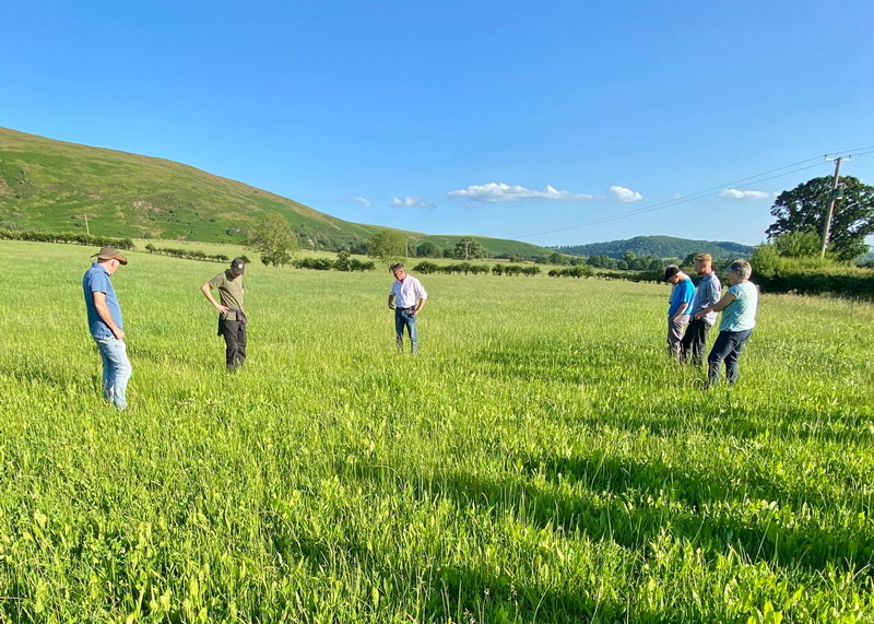 Chris leading a farm walk