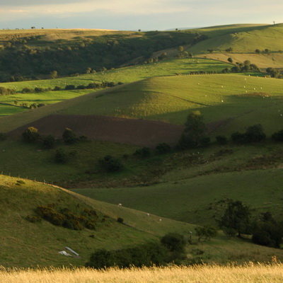 AONB Management Plan