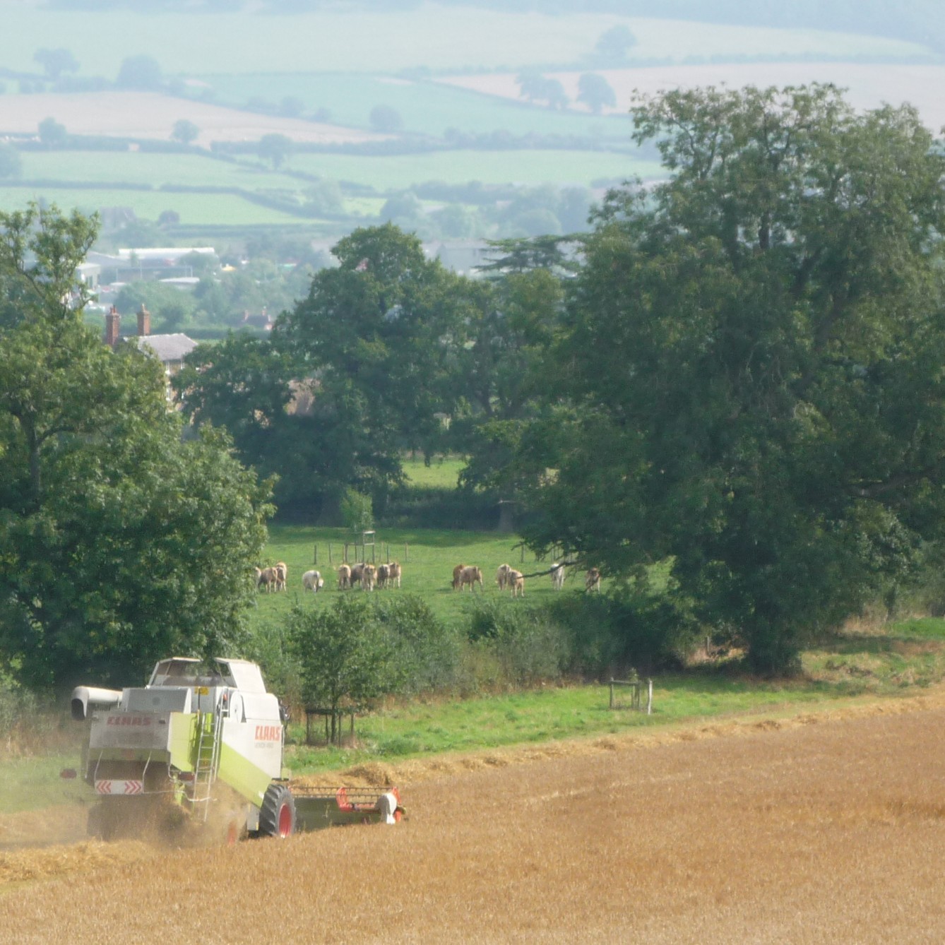 farmed landscape & woodlands