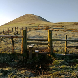 Heritage - hillforts