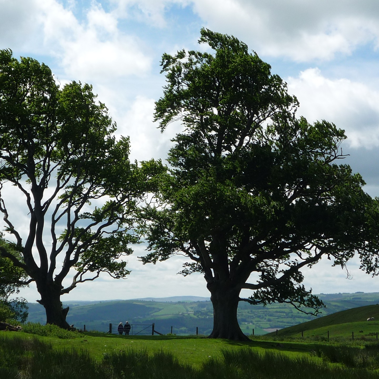 community-led climate action